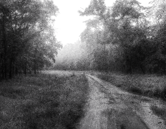 Stage 3 - Your Journey